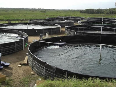 Eight small water containments are wrapped with black LDPE geomembrane, and linked with white pipes.